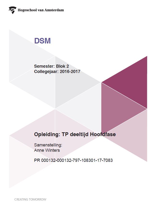 Omslag van DSM