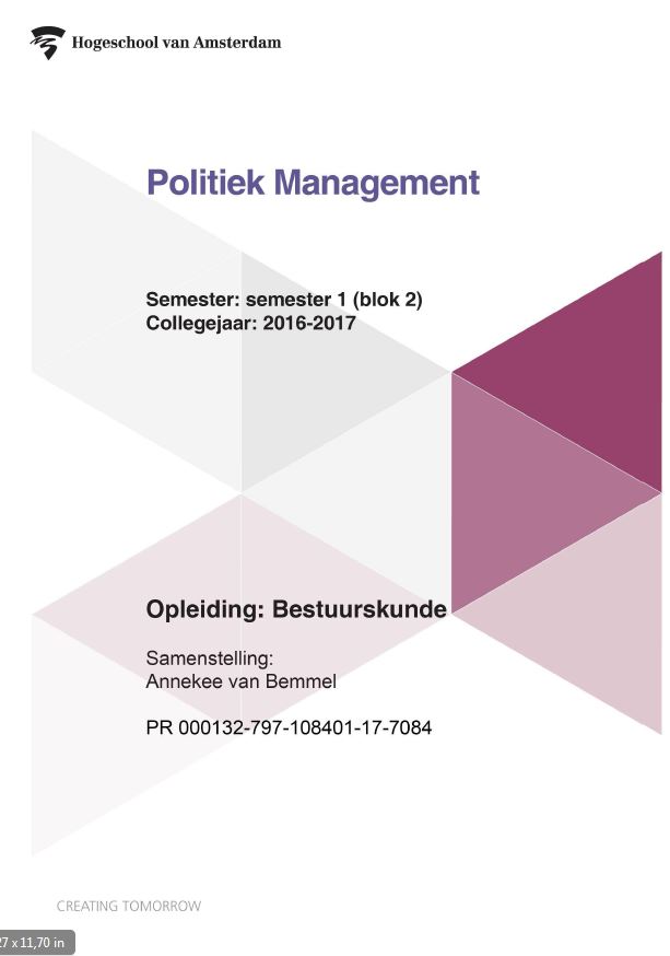 Omslag van Politiek management