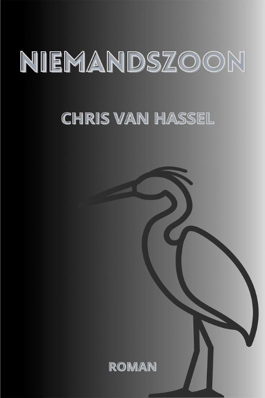 Omslag van Niemandszoon