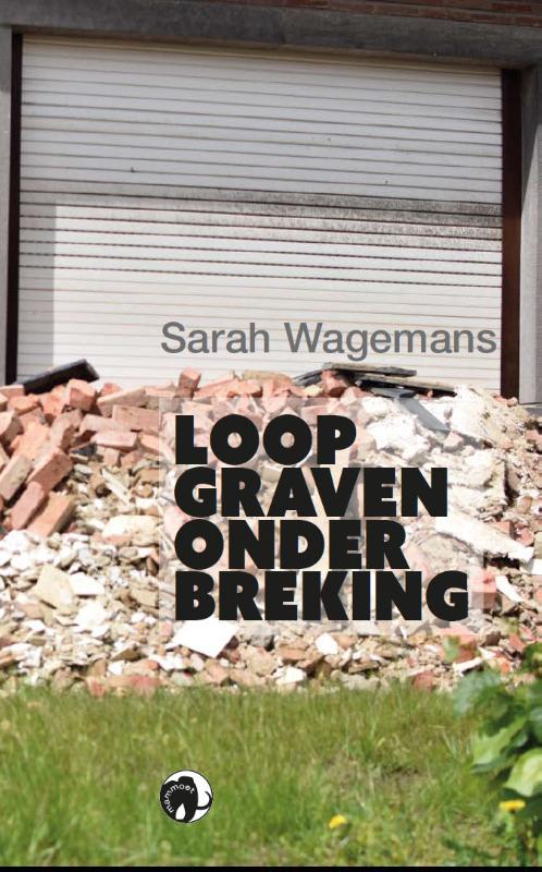 Omslag van Loopgravenonderbreking