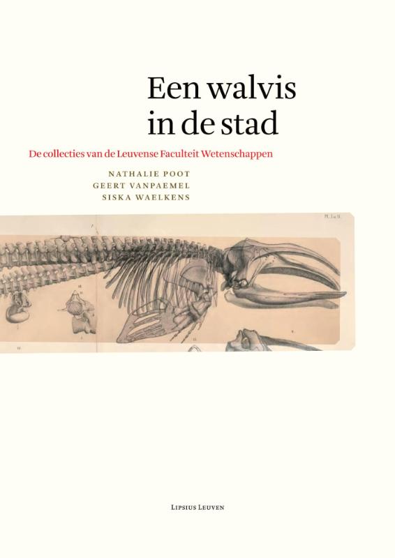 Omslag van Een walvis in de stad