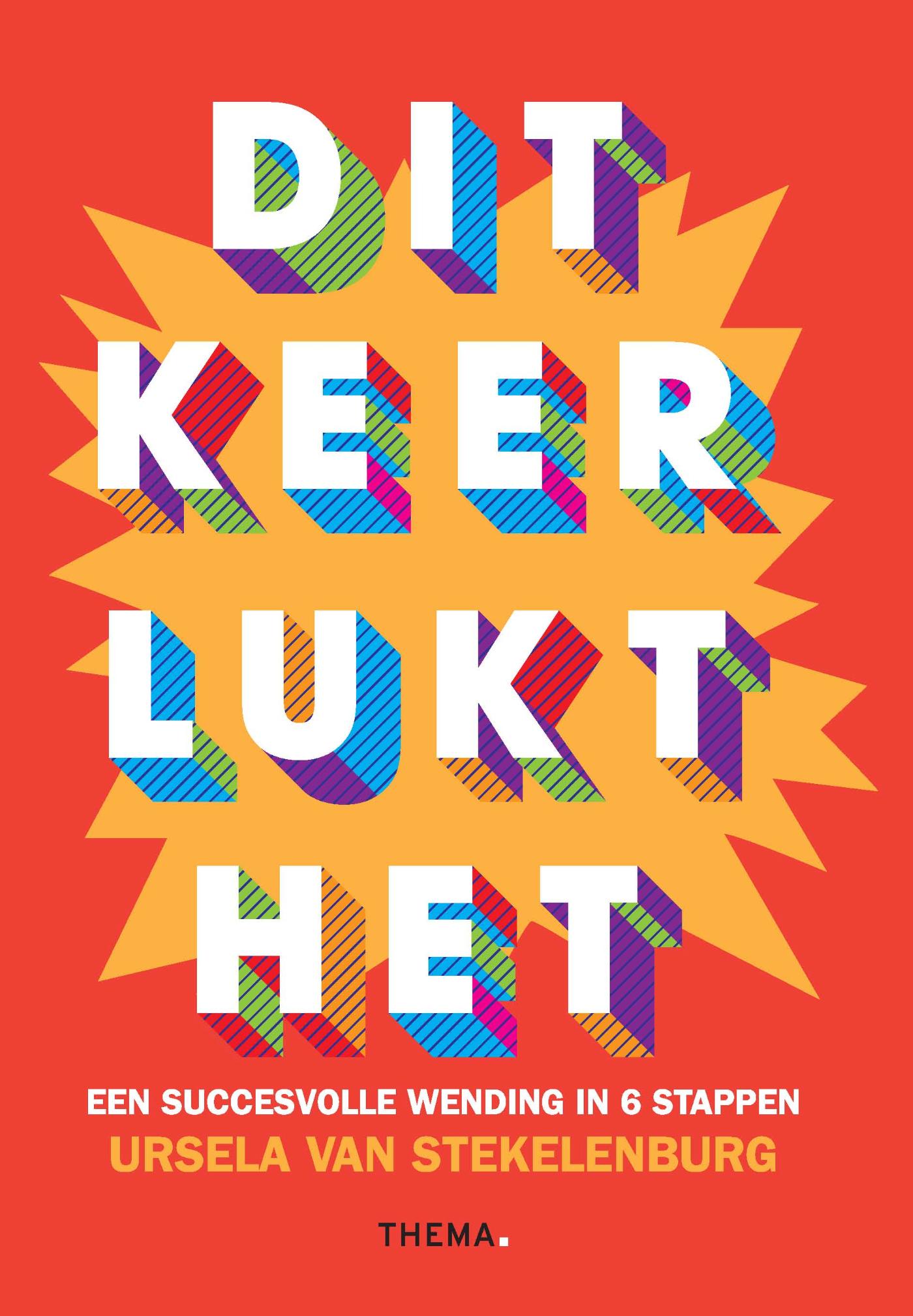 Omslag van Dit keer lukt het!