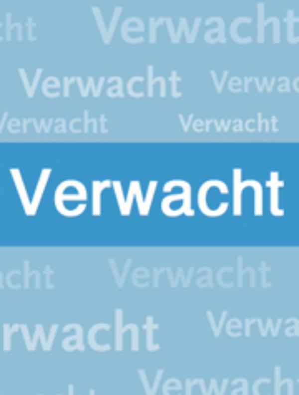 Omslag van Een derde weg ter bevordering van burgerinitiatieven?