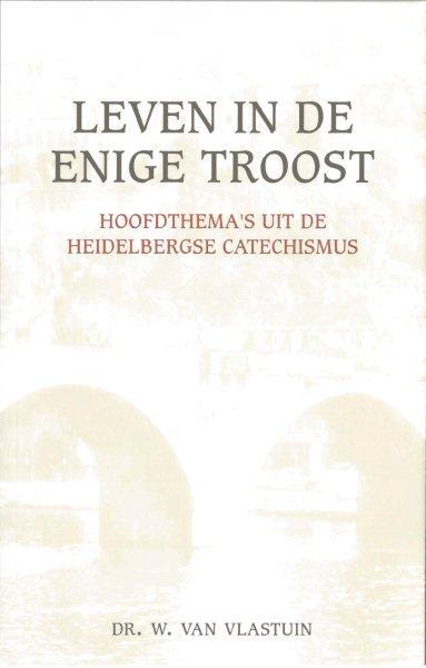 Omslag van Leven in de enige troost