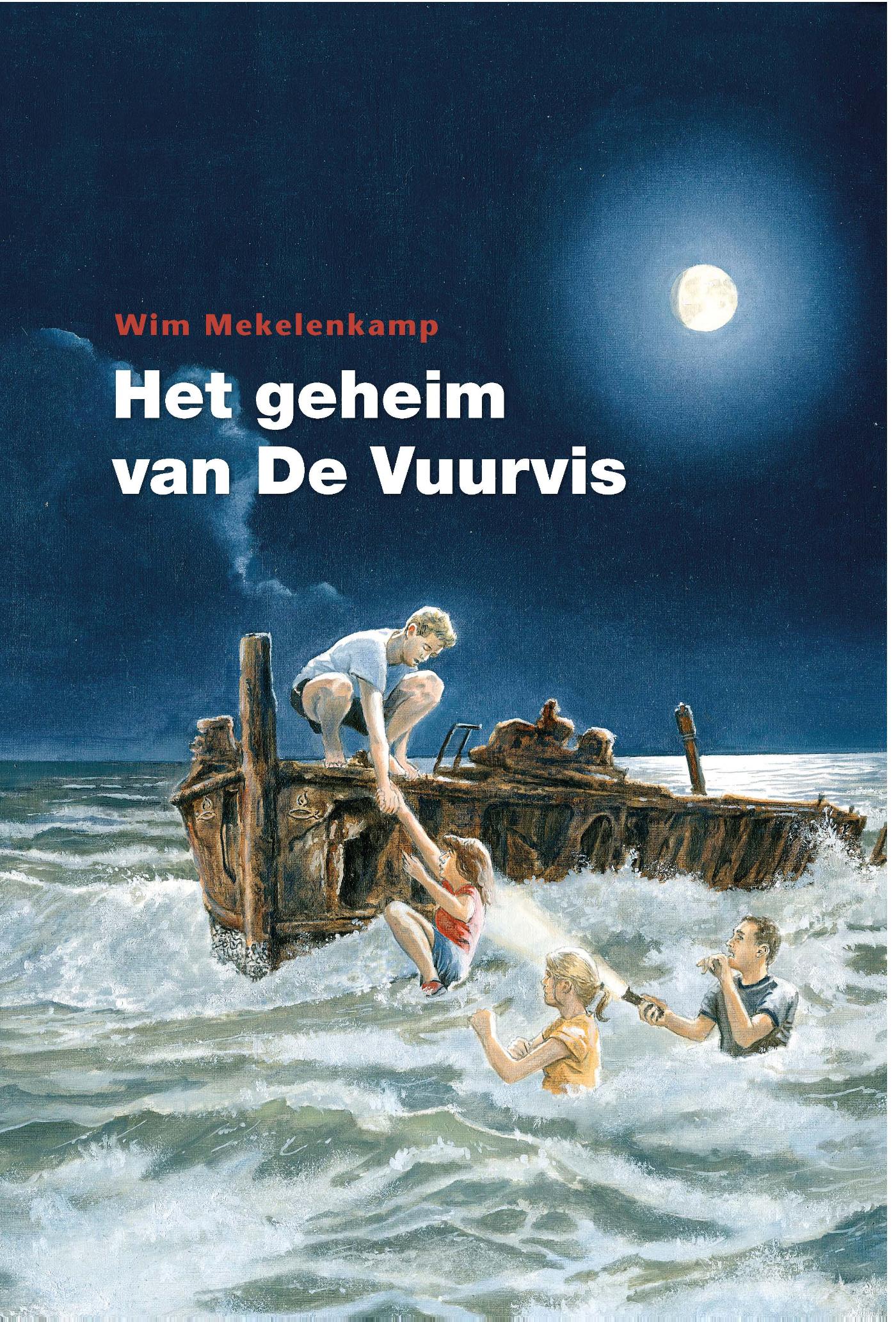 Omslag van Het geheim van de vuurvis
