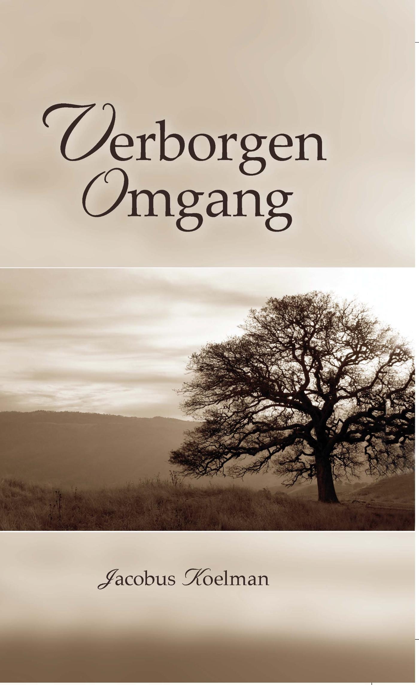 Omslag van Verborgen omgang
