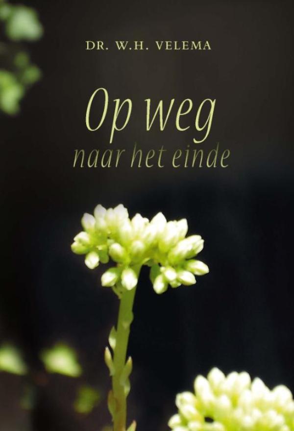 Omslag van Op weg naar het einde