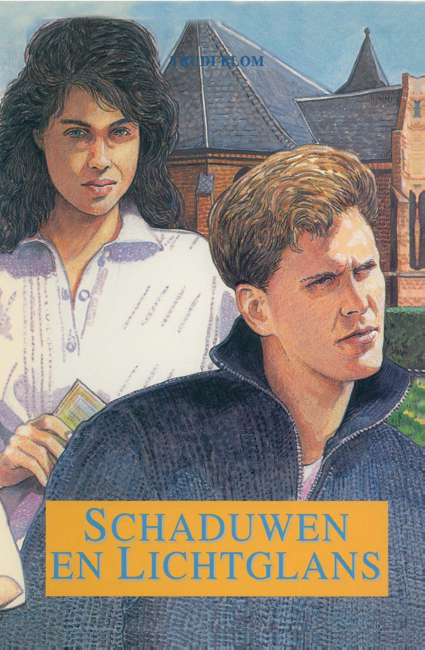 Omslag van Schaduwen en lichtglans