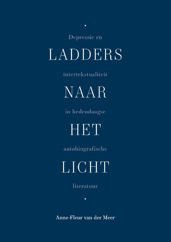 Omslag van Ladders naar het licht
