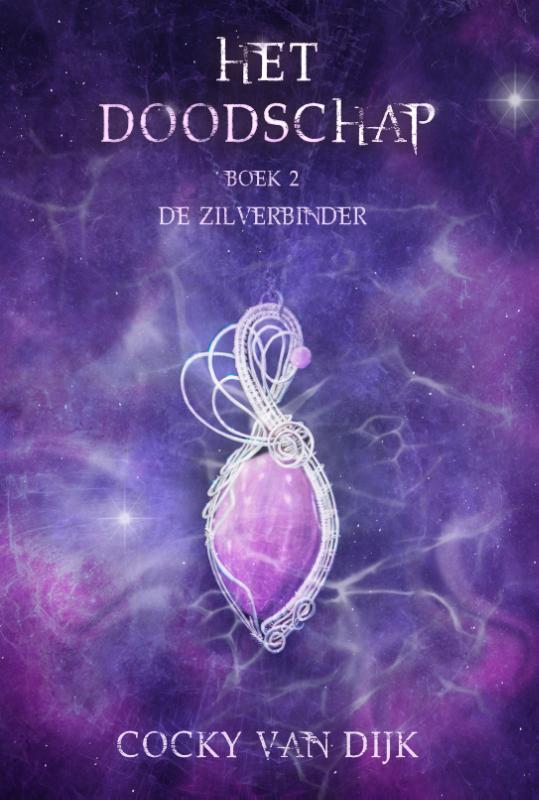 Omslag van De zilverbinder
