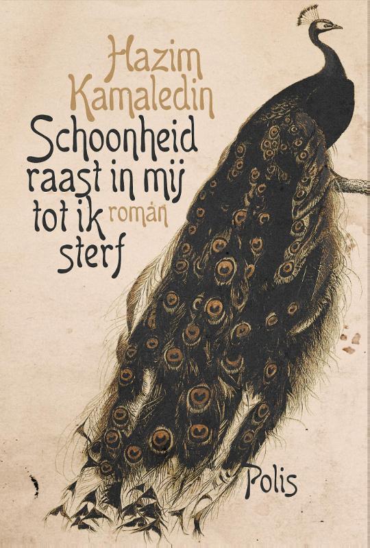 Omslag van Schoonheid raast in mij tot ik sterf