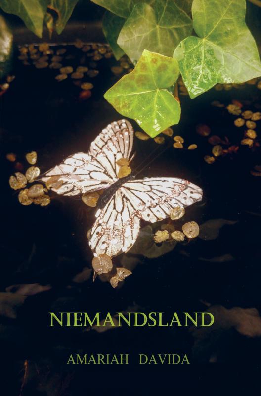 Omslag van Niemandsland