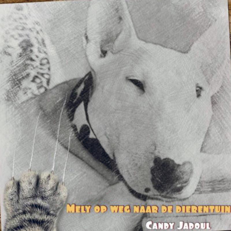 Omslag van Mely op weg naar de dierentuin
