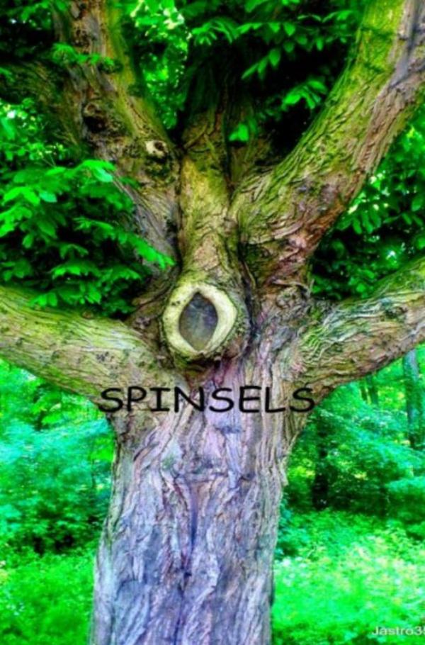 Omslag van Spinsels