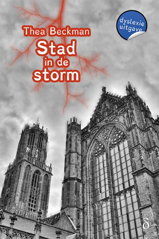 Omslag van Stad in de storm