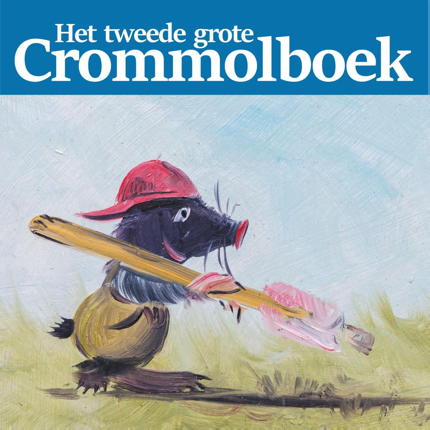 Omslag van Het tweede grote Crommolboek