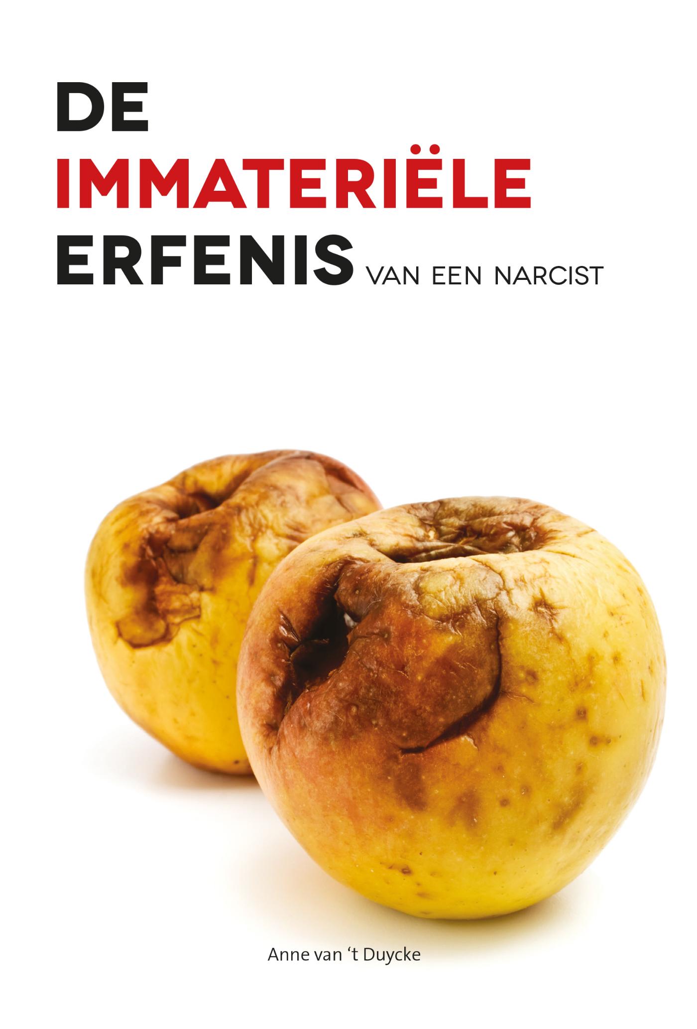 Omslag van De immateriële erfenis van een narcist
