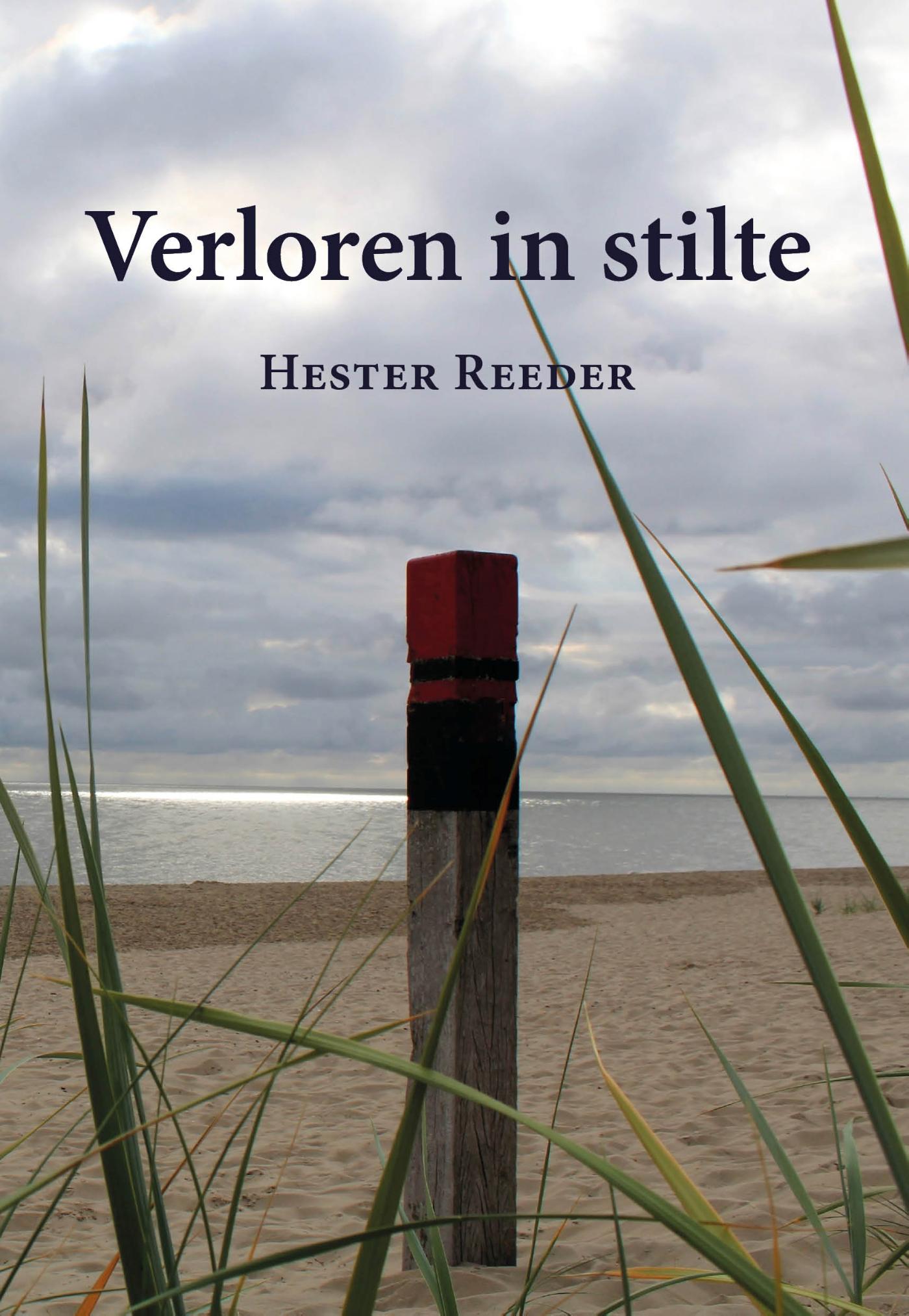 Omslag van Verloren in stilte