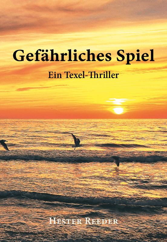 Omslag van Gefärliches Spiel