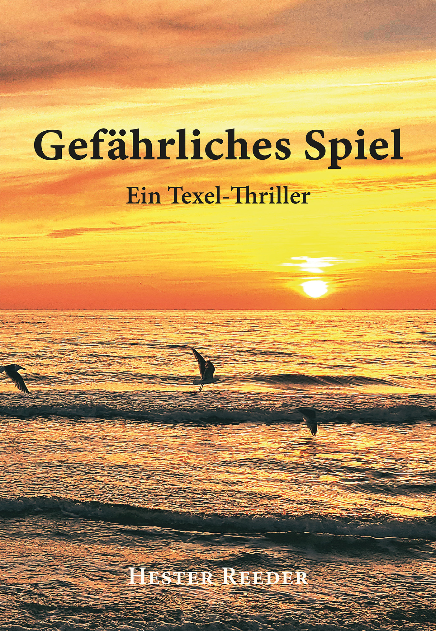 Omslag van Gefärliches Spiel