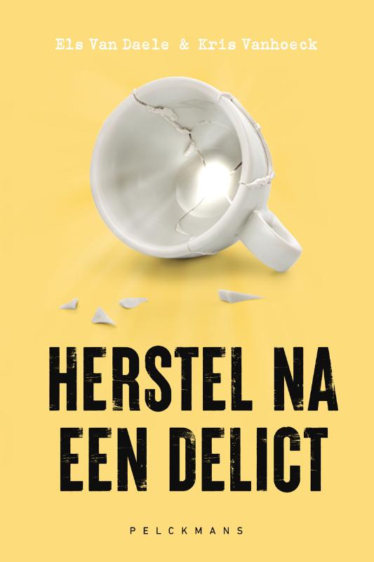 Omslag van Herstel na een delict