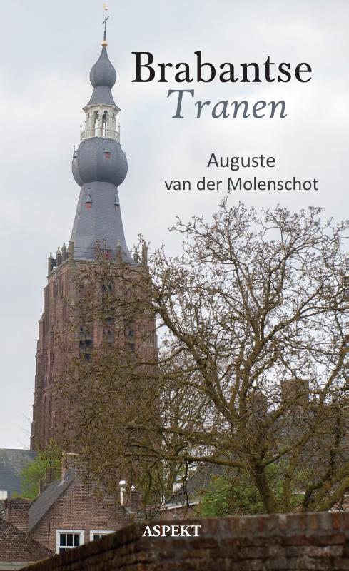 Omslag van Brabantse tranen