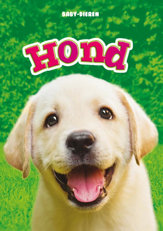 Omslag van Hond
