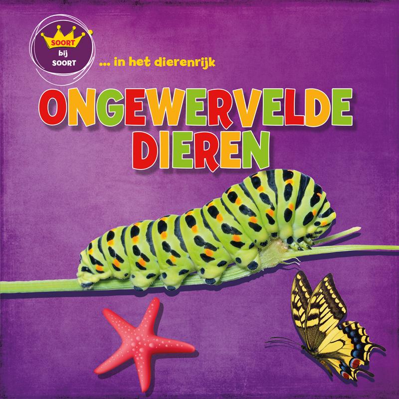Omslag van Ongewervelden