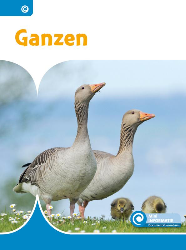 Omslag van Ganzen