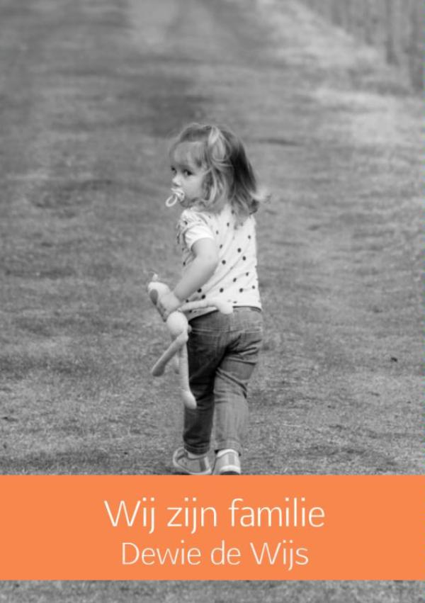 Omslag van Wij zijn familie
