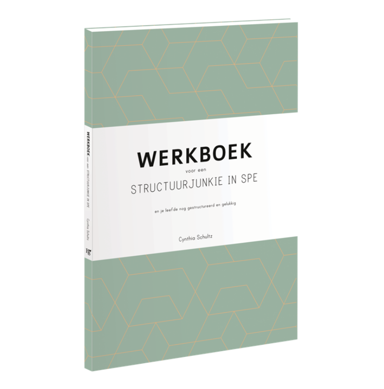 Omslag van Werkboek voor een structuurjunkie in spe