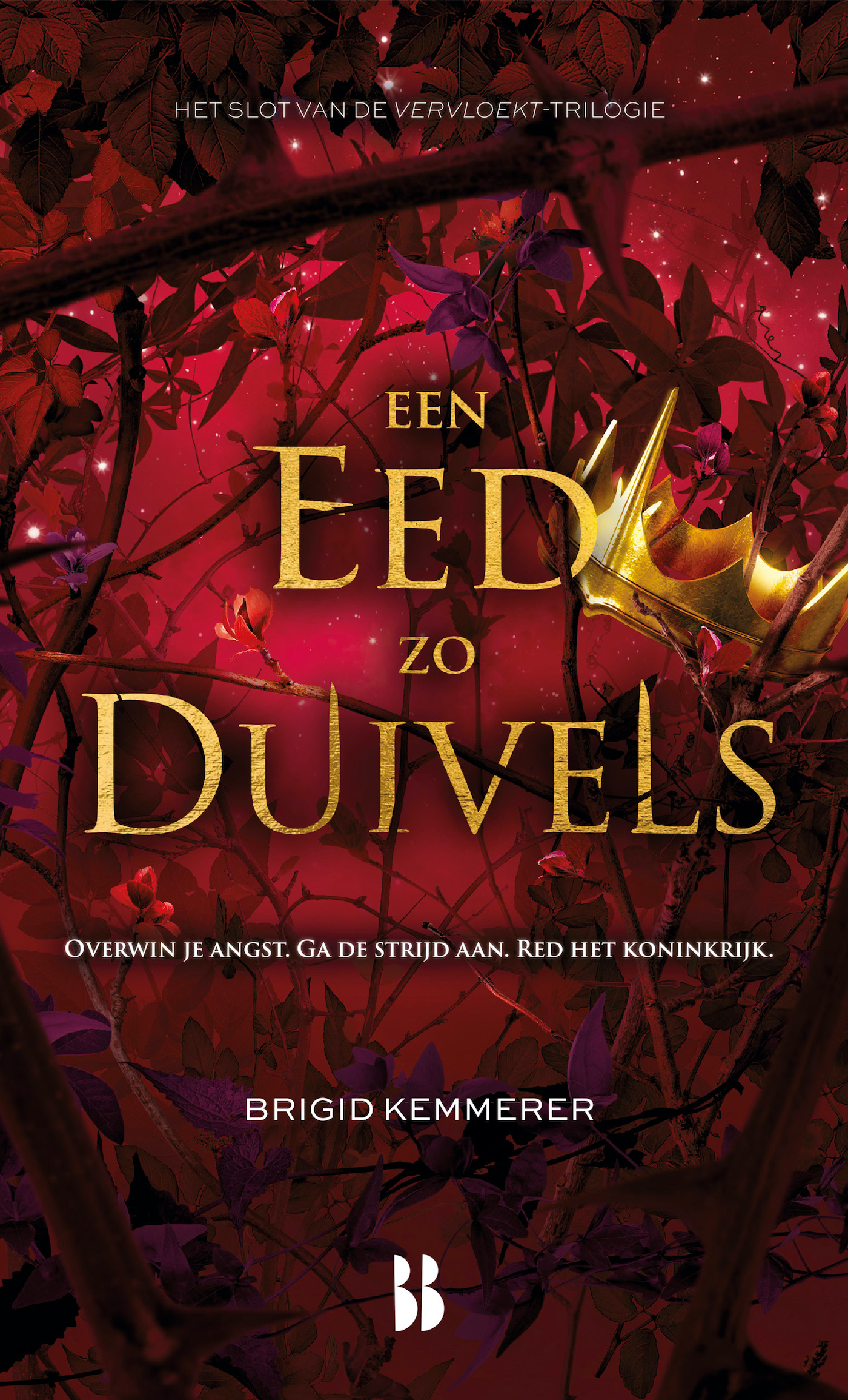 Omslag van Een eed zo duivels