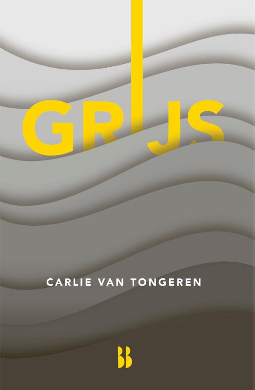 Omslag van Grijs