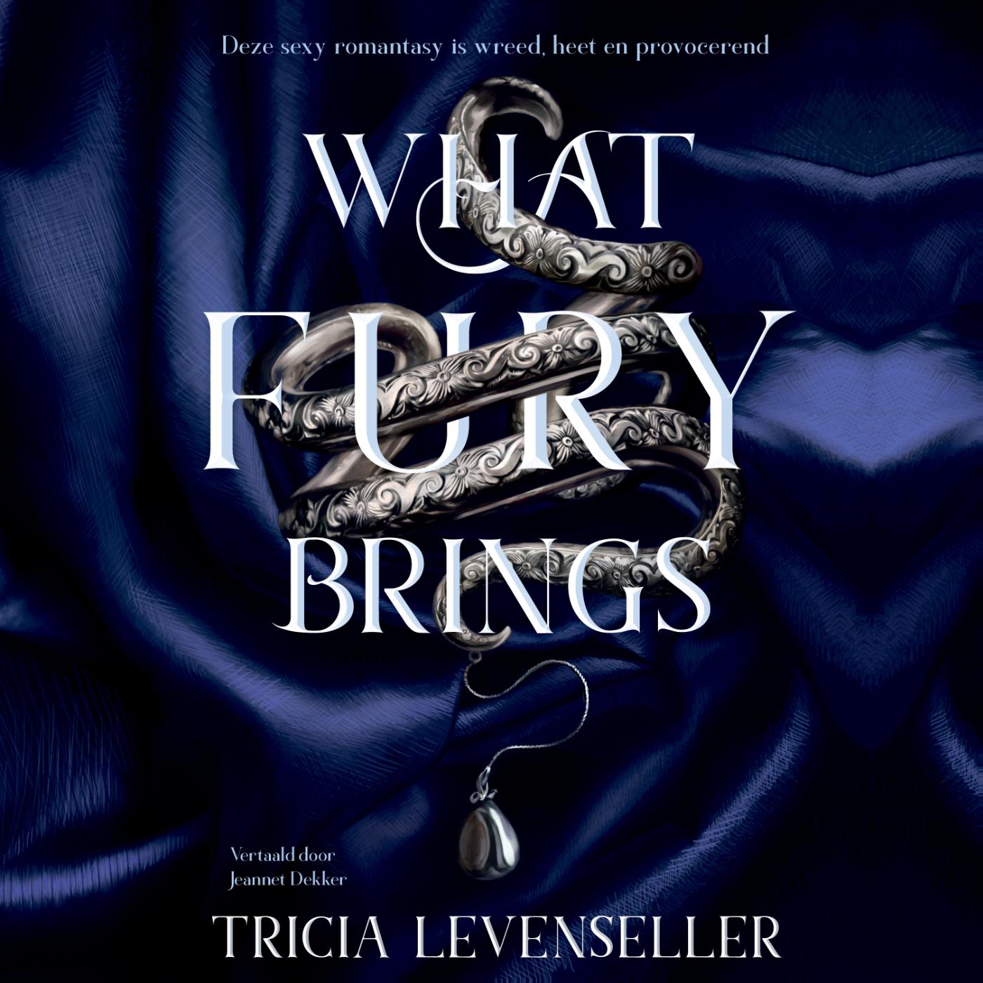 Omslag van What fury brings