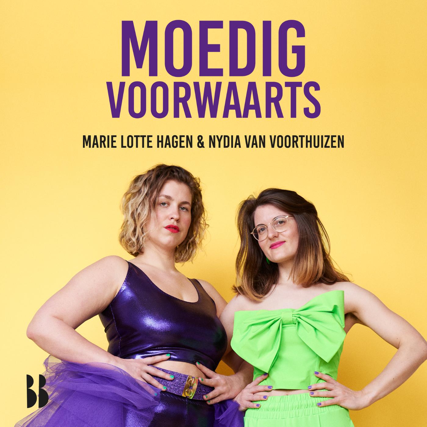 Omslag van Moedig voorwaarts