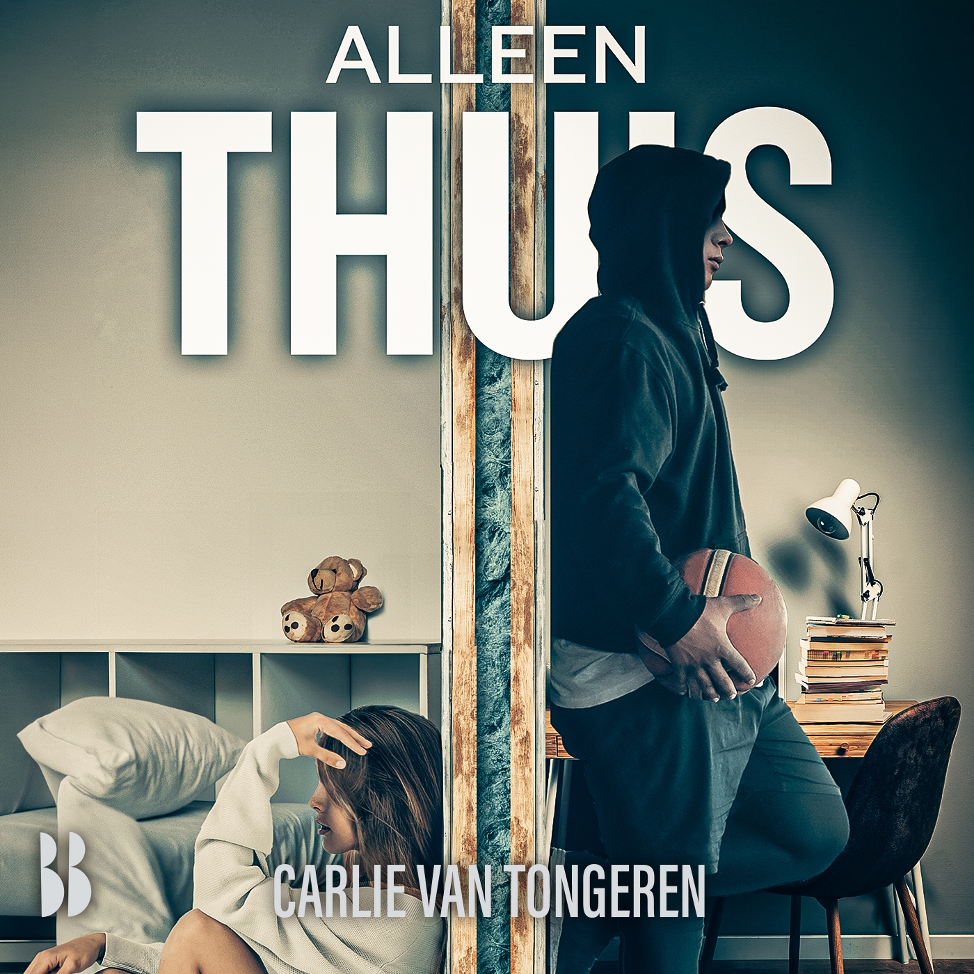Omslag van Alleen thuis