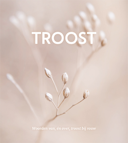 Omslag van Troost