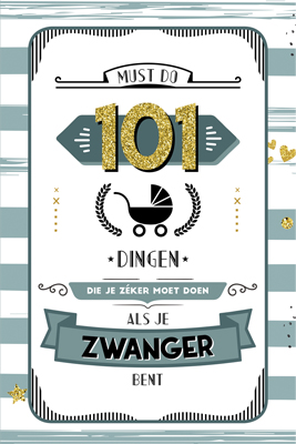 Omslag van 101 dingen die je zeker moet doen als je zwanger bent
