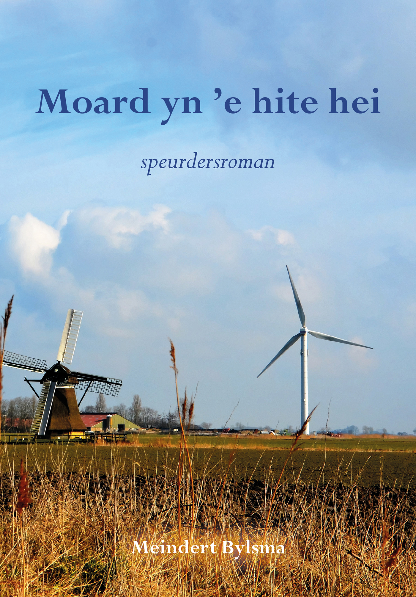 Omslag van Moard yn 'e hite hei