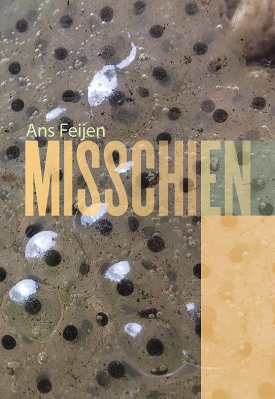 Omslag van Misschien