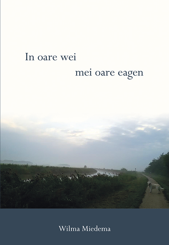 Omslag van In oare wei