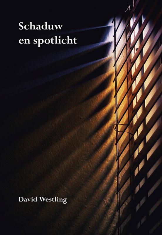 Omslag van Schaduw en spotlicht