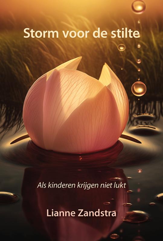 Omslag van Storm voor de stilte
