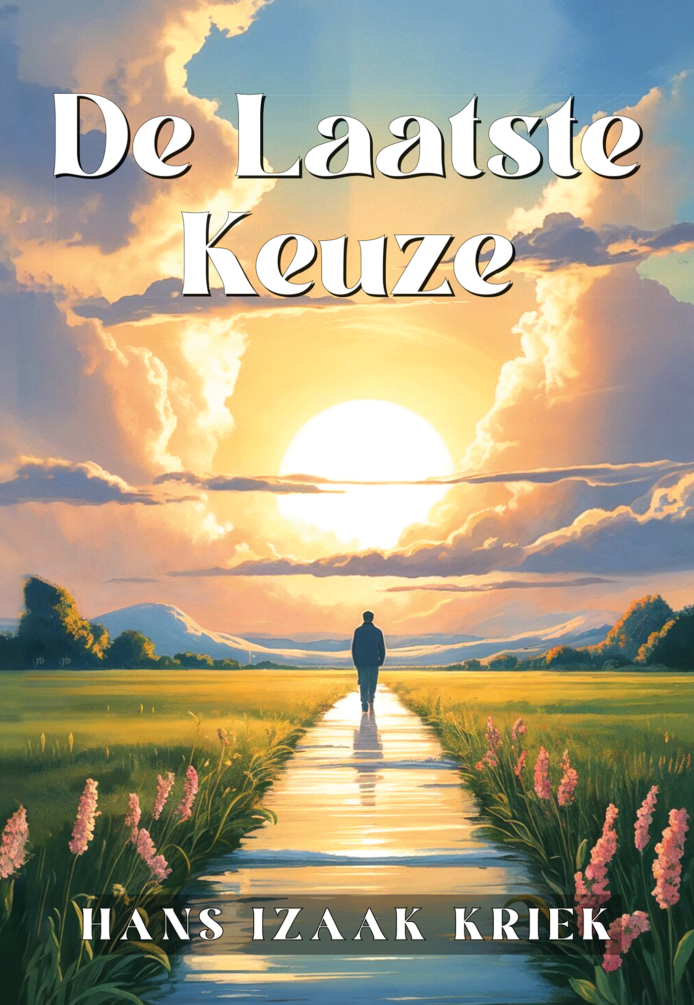 Omslag van De laatste keuze