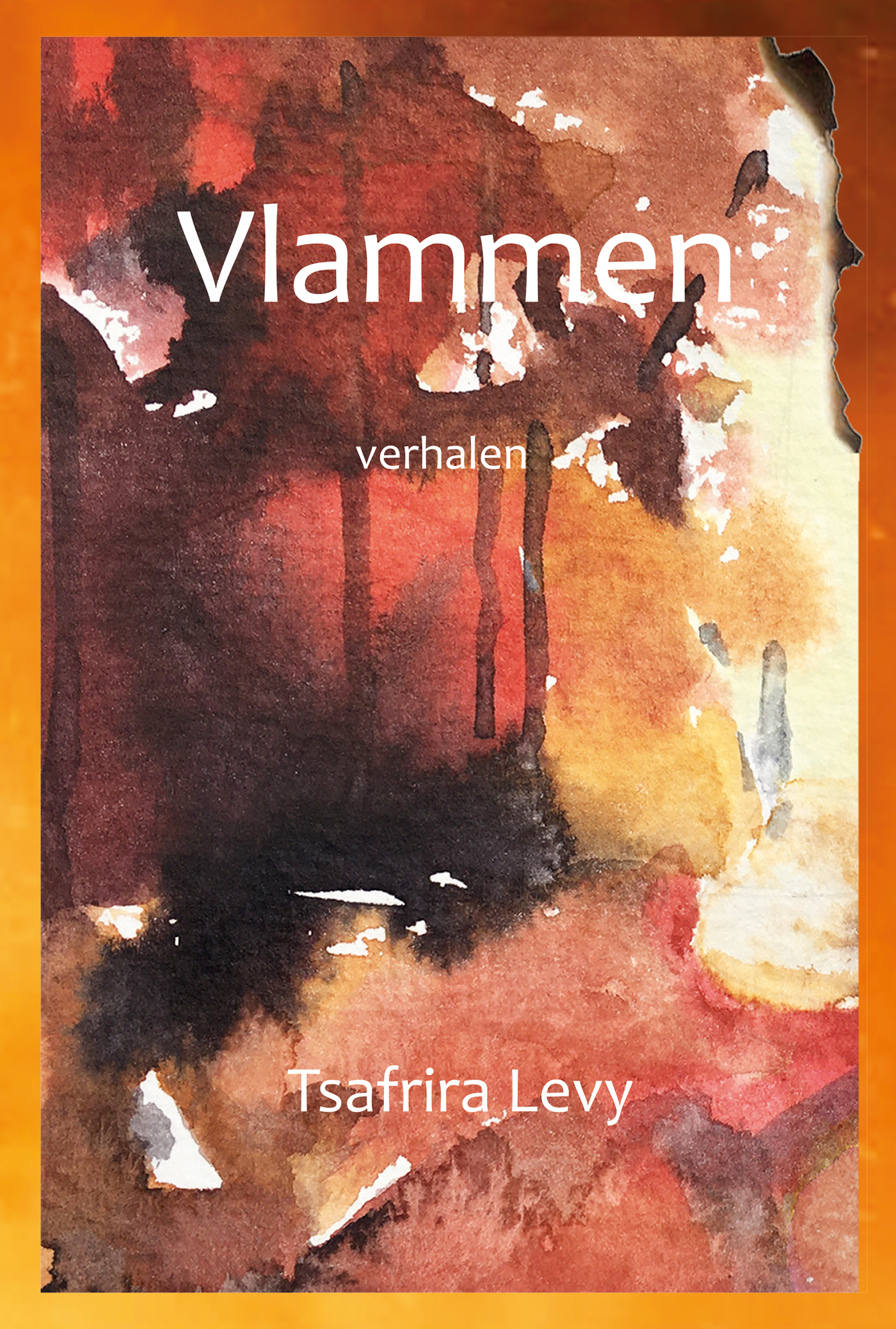 Omslag van Vlammen