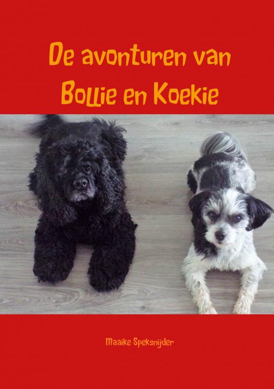 Omslag van De avonturen van Bollie en Koekie