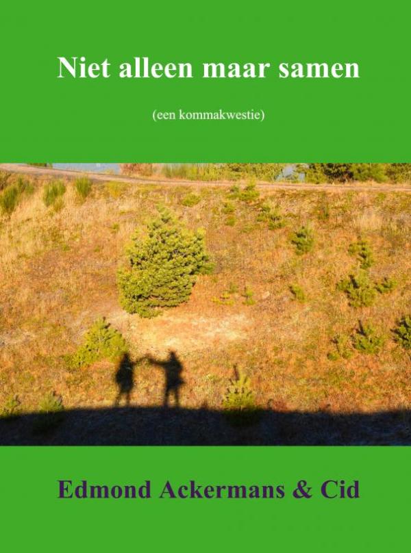 Omslag van Niet alleen maar samen