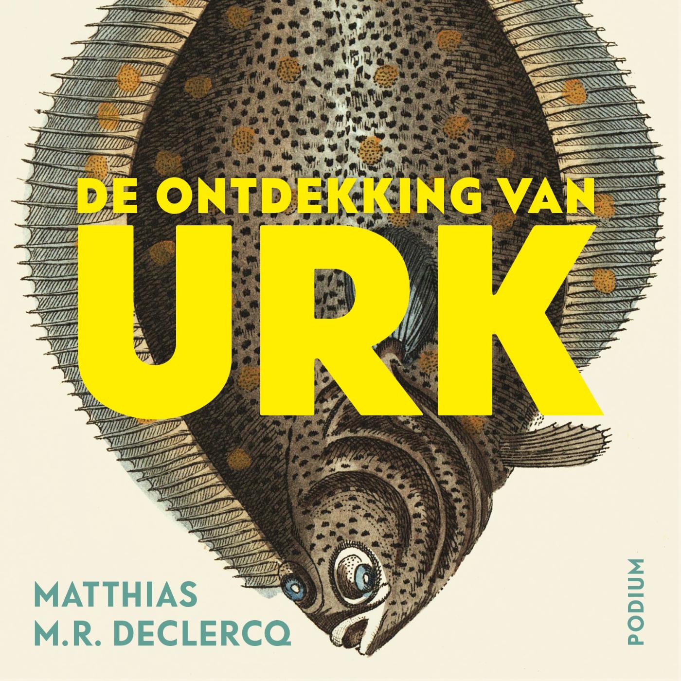 Omslag van De ontdekking van Urk