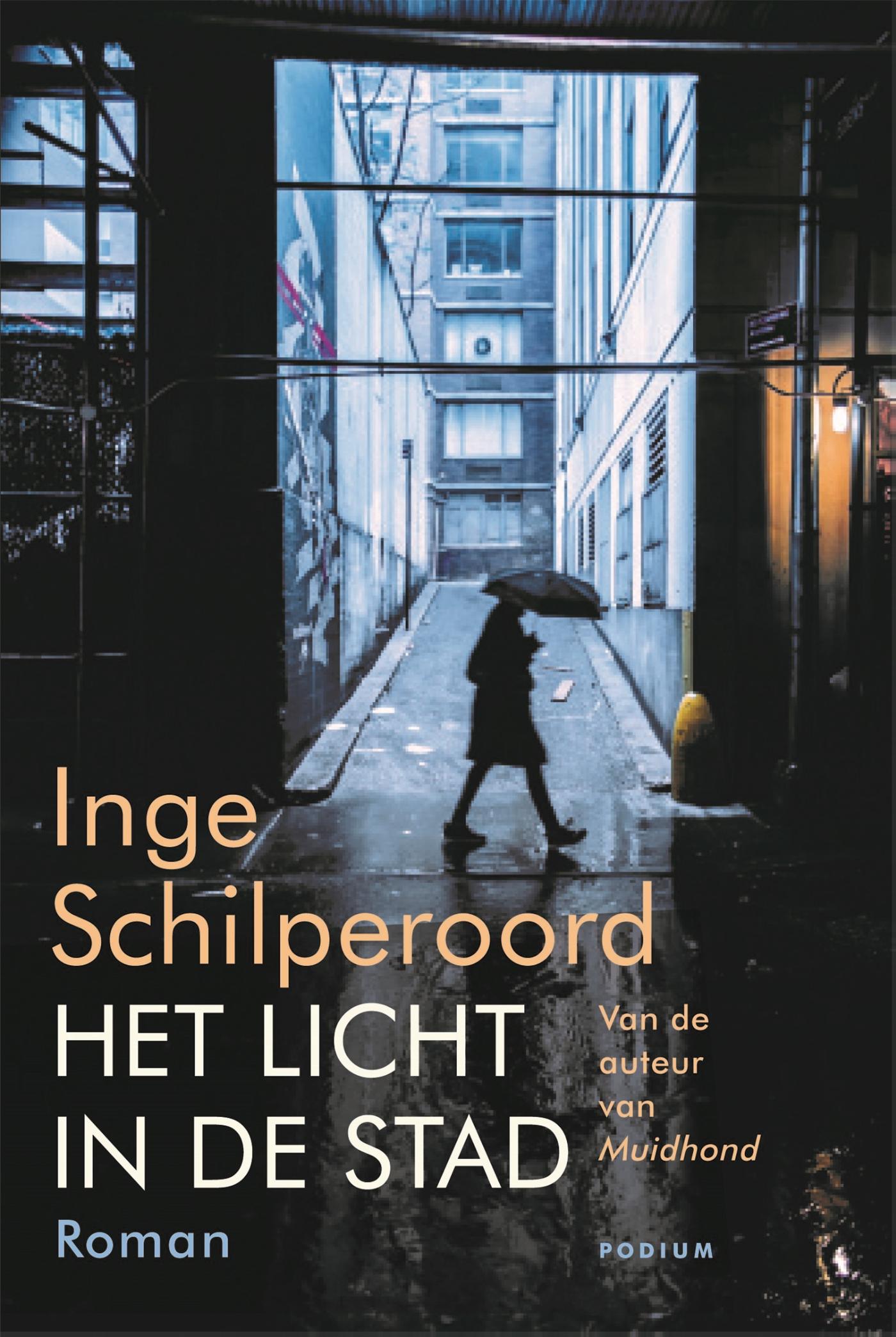 Omslag van Het licht in de stad