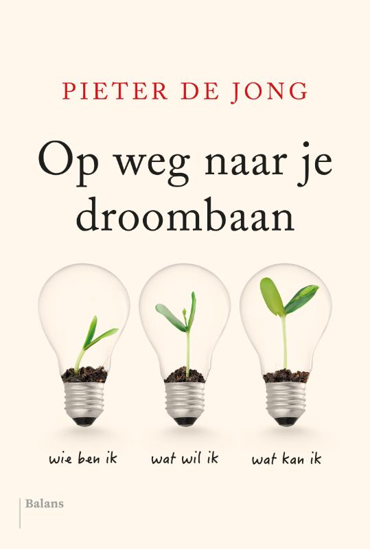 Omslag van Op weg naar je droombaan